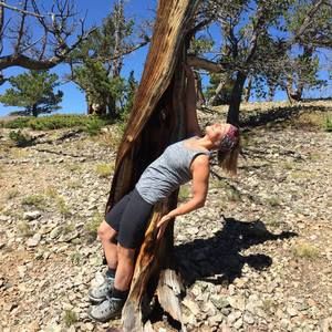 Meet your Posher, La